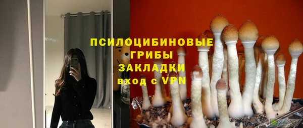 ПСИЛОЦИБИНОВЫЕ ГРИБЫ Армянск