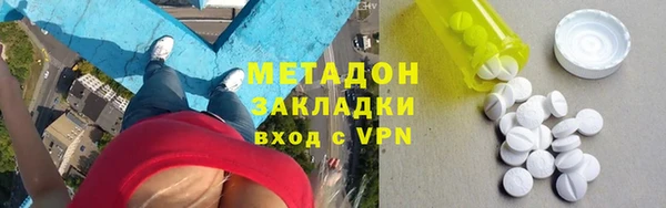 индика Аркадак