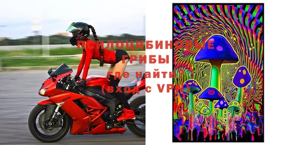 ГАЛЛЮЦИНОГЕННЫЕ ГРИБЫ Балахна