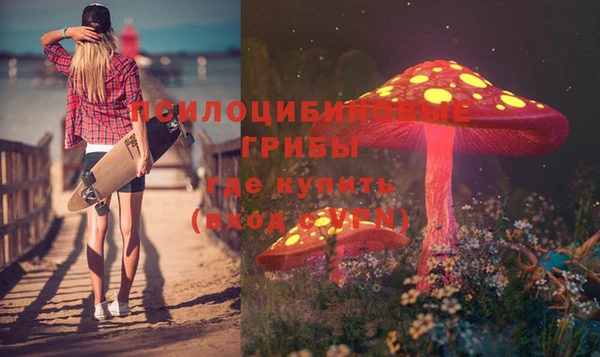 индика Аркадак