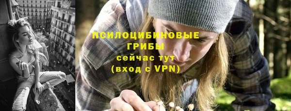 индика Аркадак