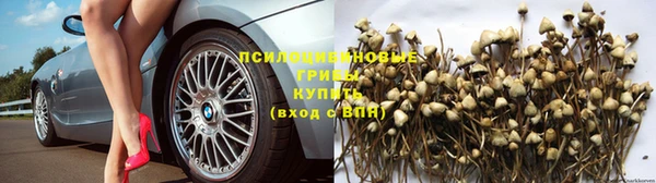 скорость Арсеньев