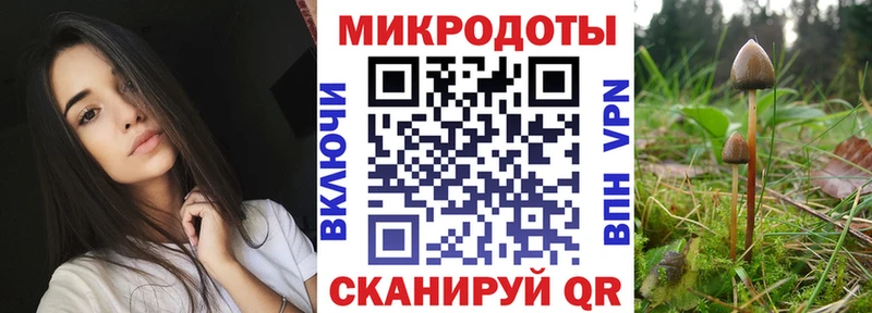 Галлюциногенные грибы Psilocybe  закладки  Малая Вишера 